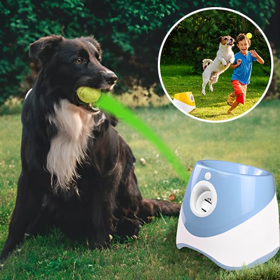 Lanceur de balle pour chien play