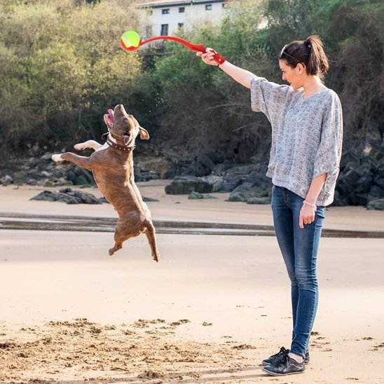 Lanceur de balle pour chien rouge