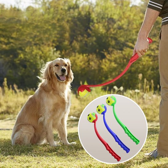 Lanceur de balle pour chien vert bleu rouge