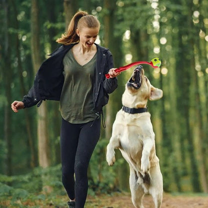 Lanceur de balle pour rouge chien Sans Fatigue