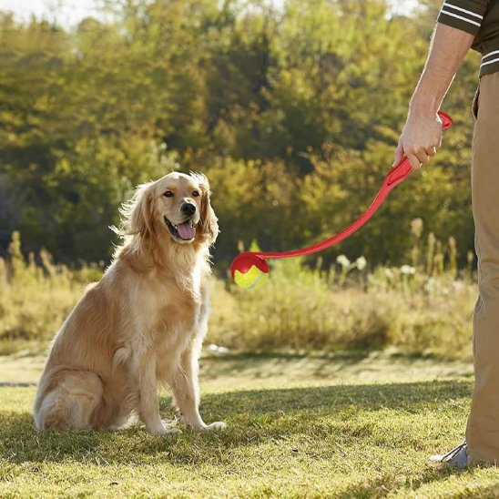 Lanceur de balle rouge  pour chien