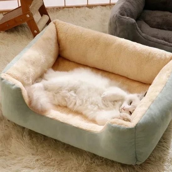 lit chat doux vert