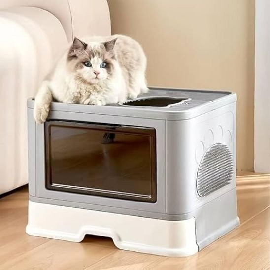 litiere bac chat gris