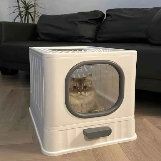 litiere chat gris
