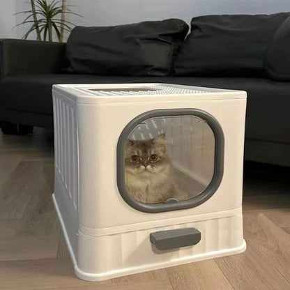 litiere chat gris