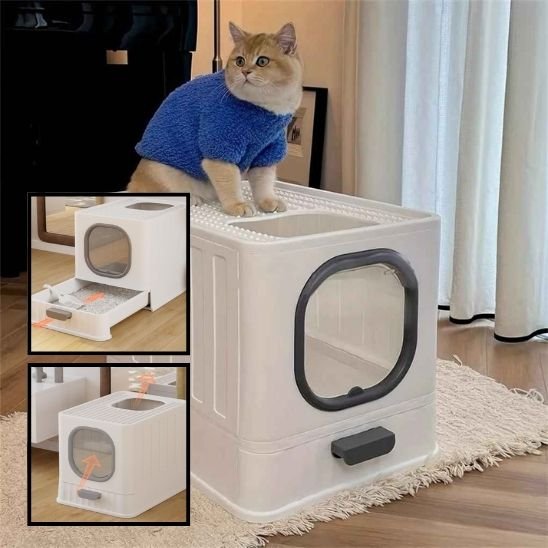 litiere chat