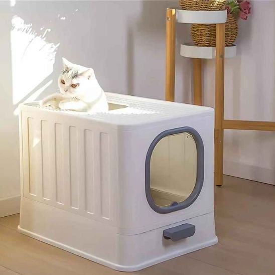 litiere pour chat