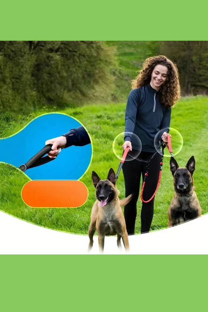 longe chien anti traction