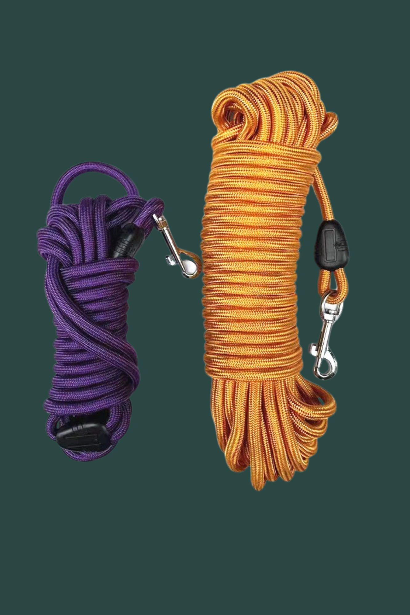 longe chien mauve orange