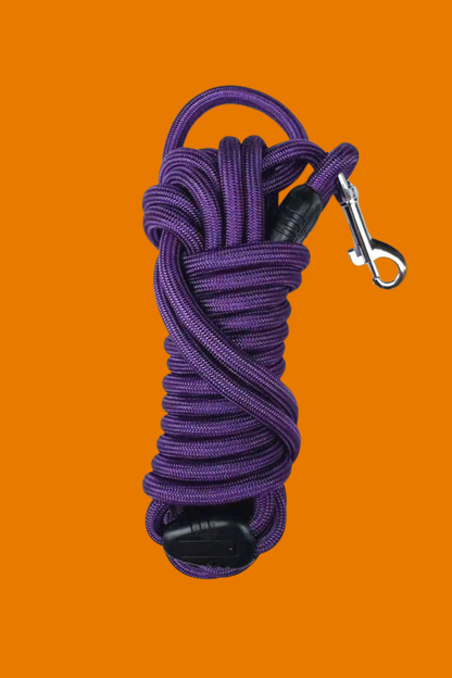 longe chien mauve