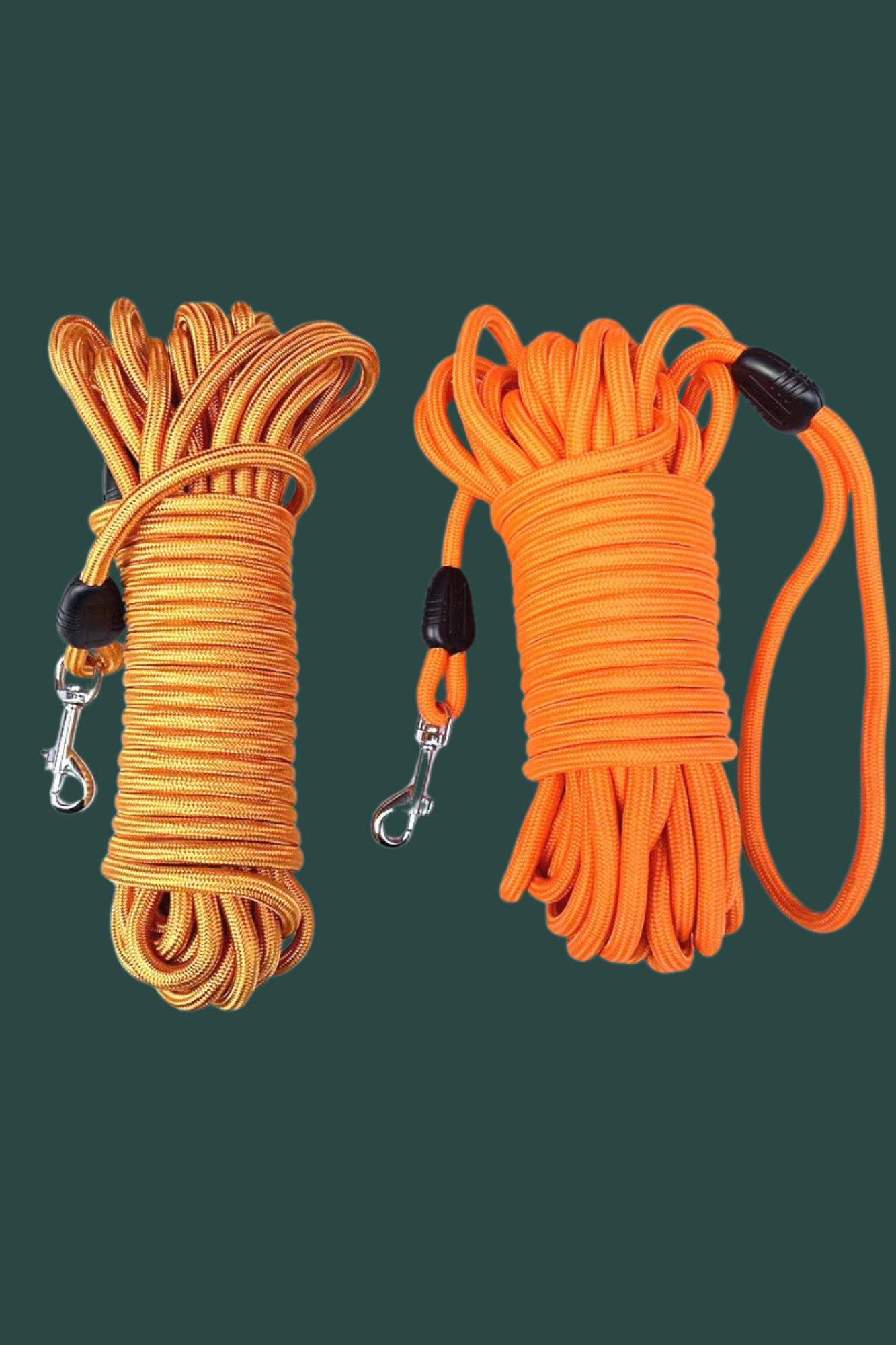 longe chien orange