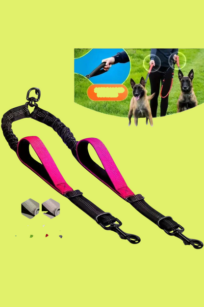 longe chien rose rouge