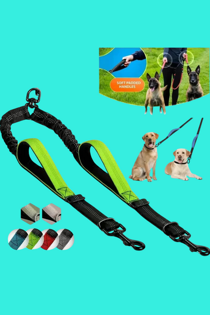 longe chien vert
