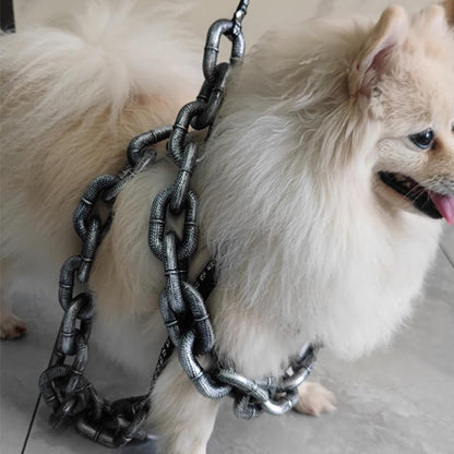 longe chien