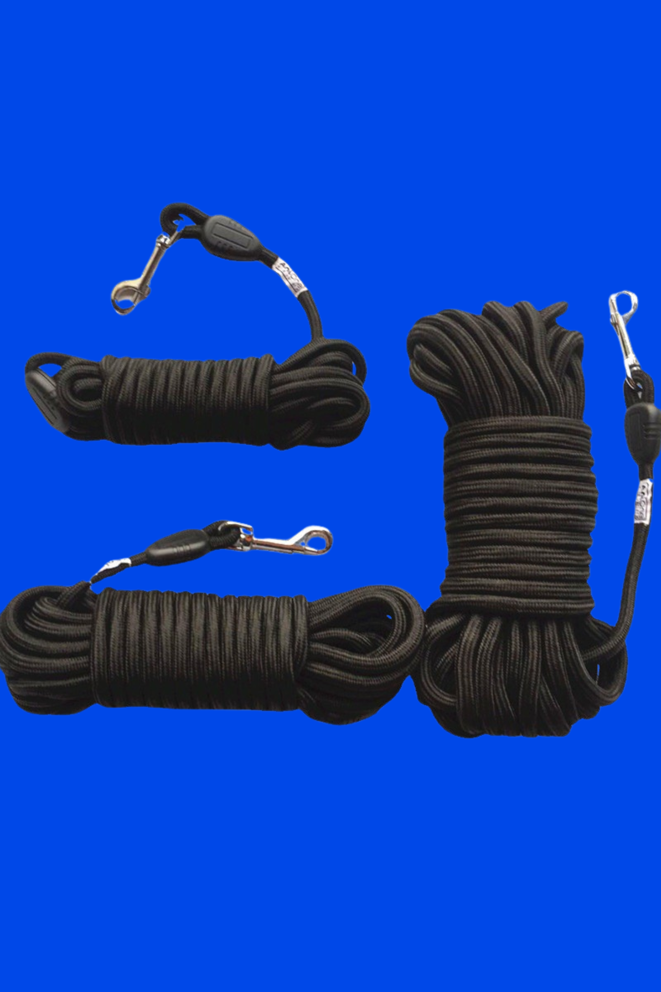 longe noir chien 