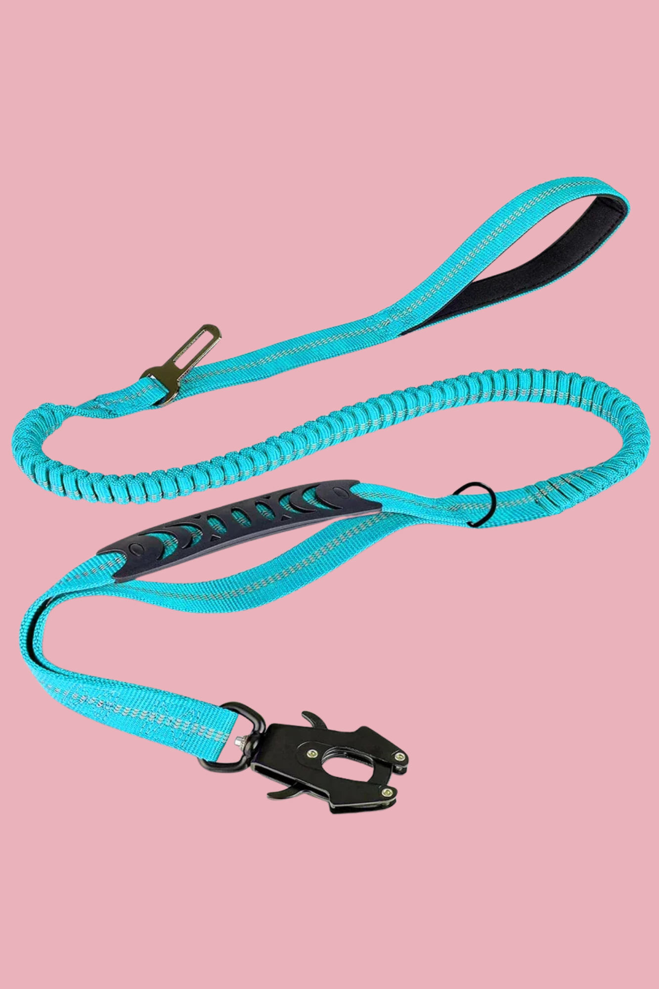 longe pour chien bleu ciel