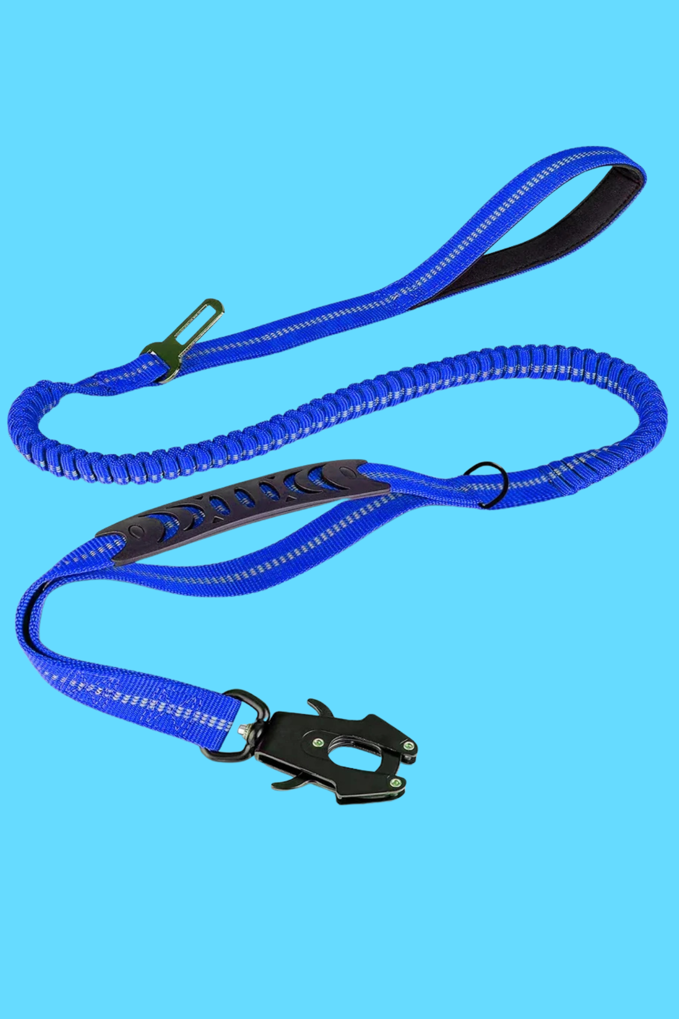 longe pour chien bleu