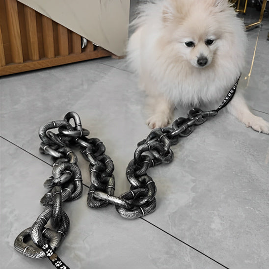 longe pour chien maison