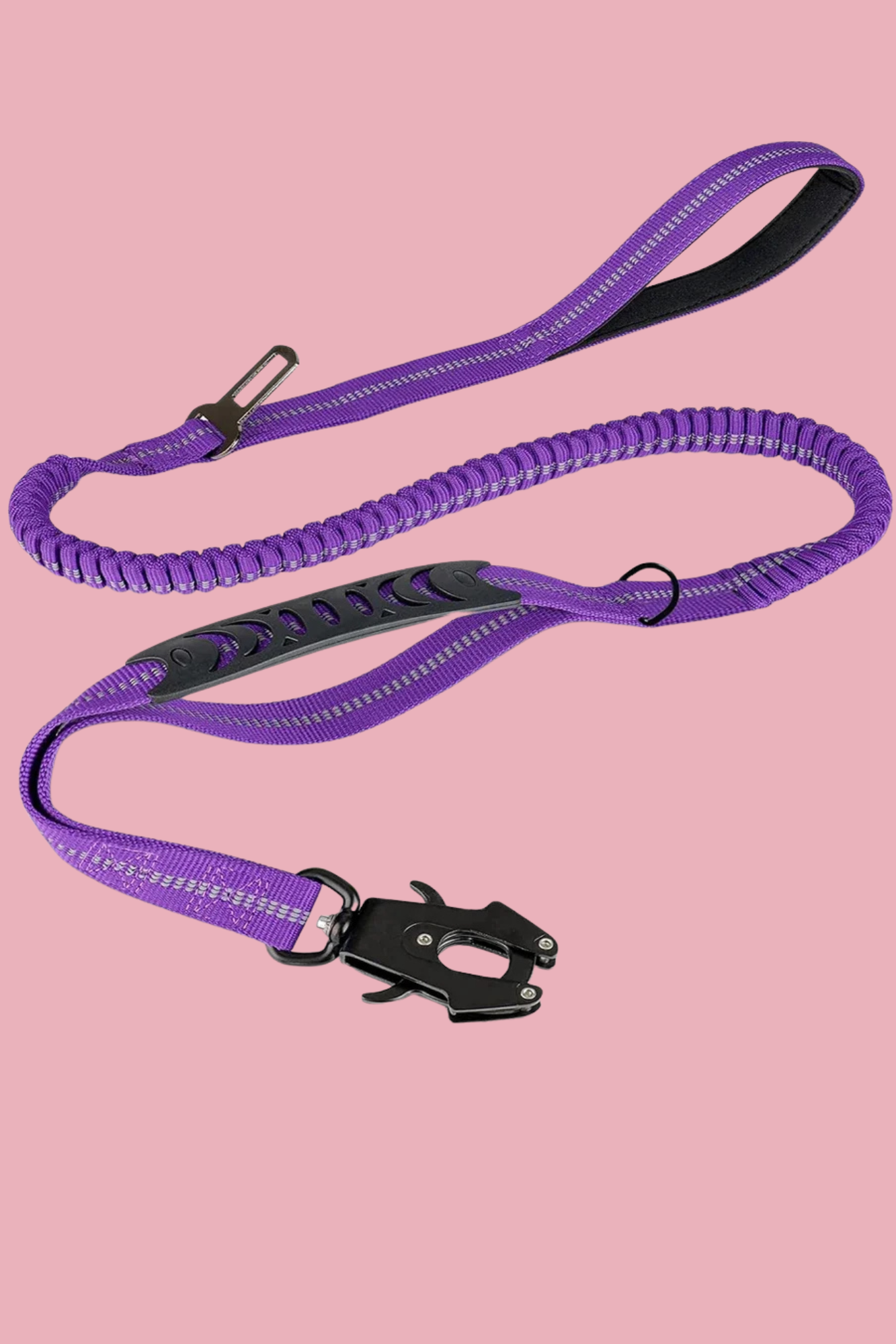 longe pour chien mauve