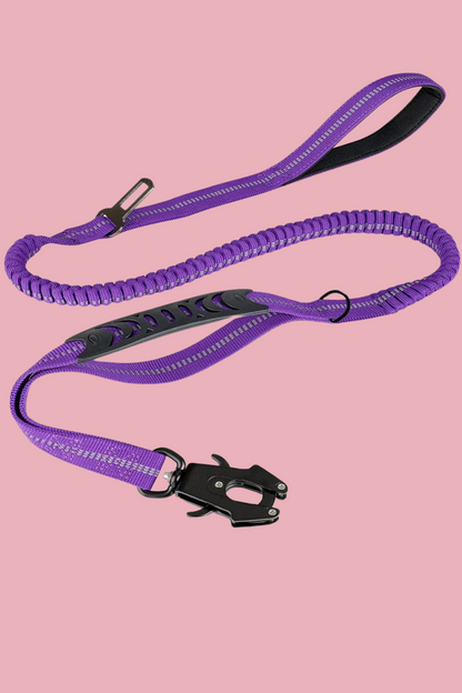 longe pour chien mauve
