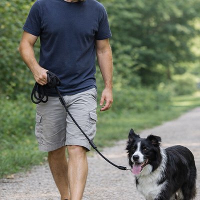 Longe pour Chien noir Résistante et Confortable