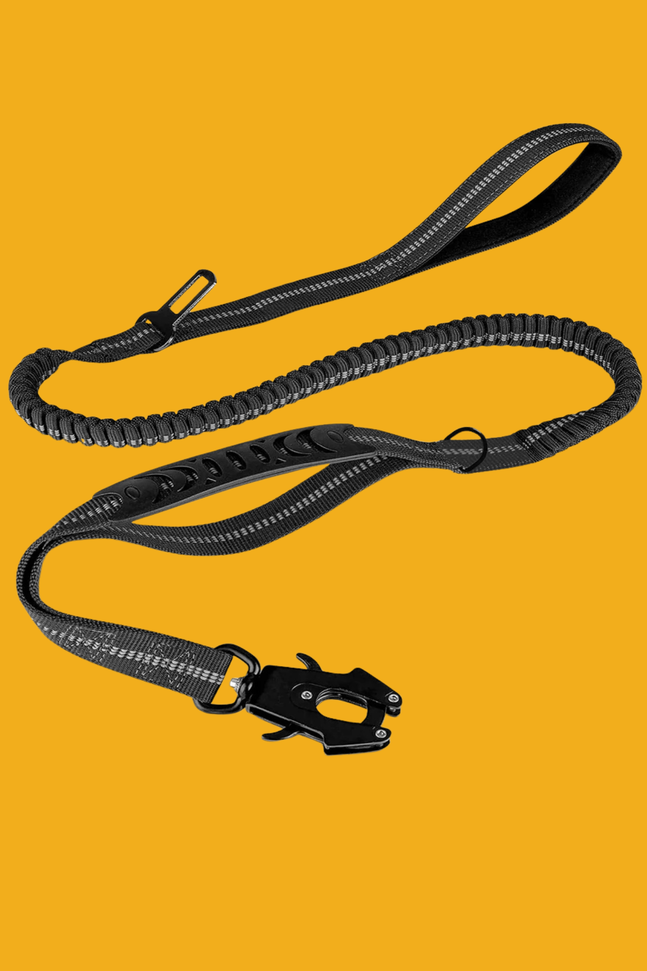 longe pour chien noir
