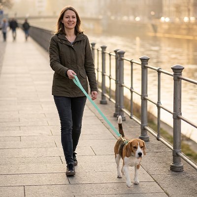 Longe pour Chien vert