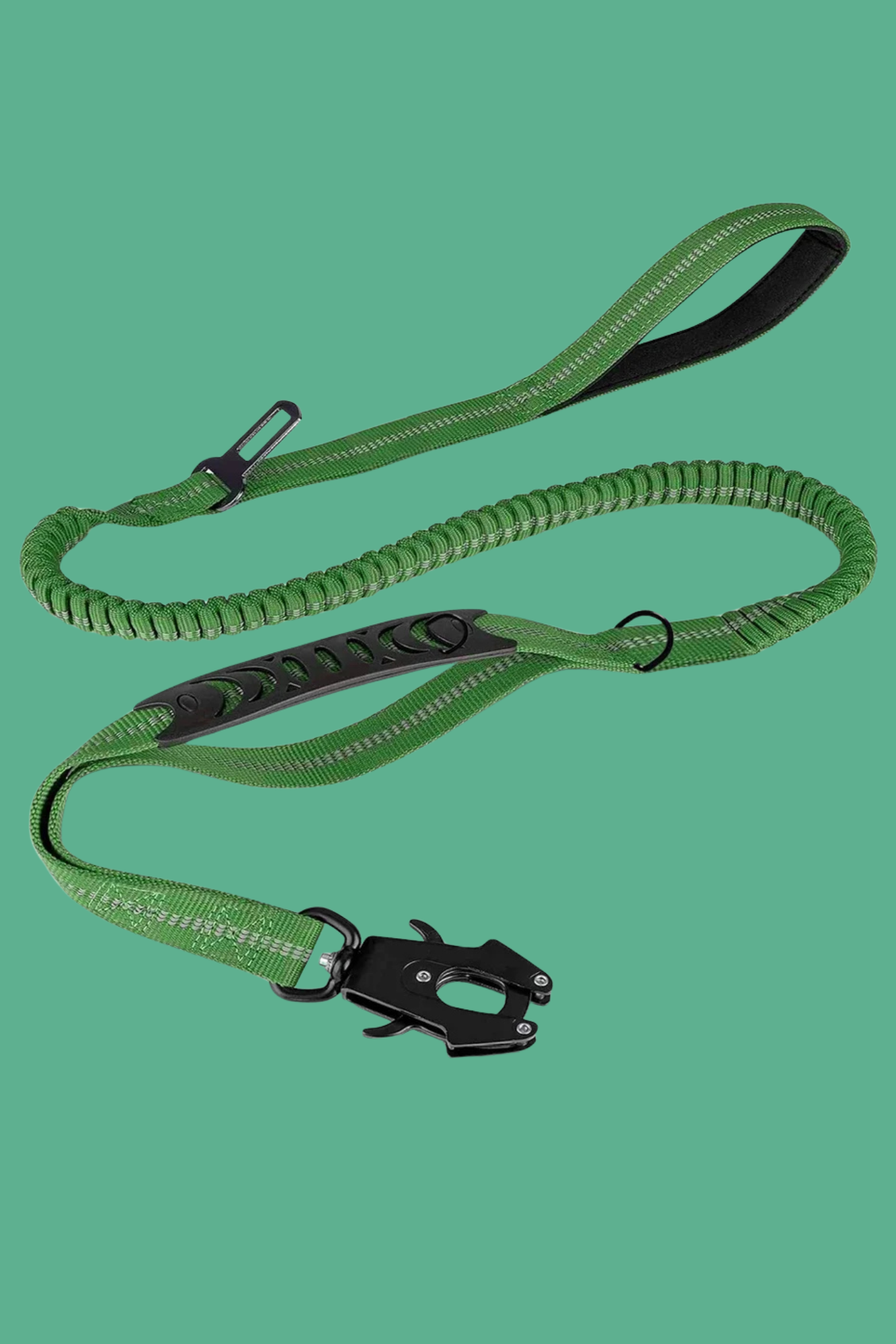 longe pour chien vert