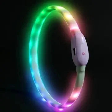 lumineux collier pour chien