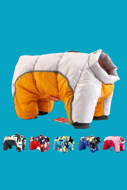 manteau pour chien argent