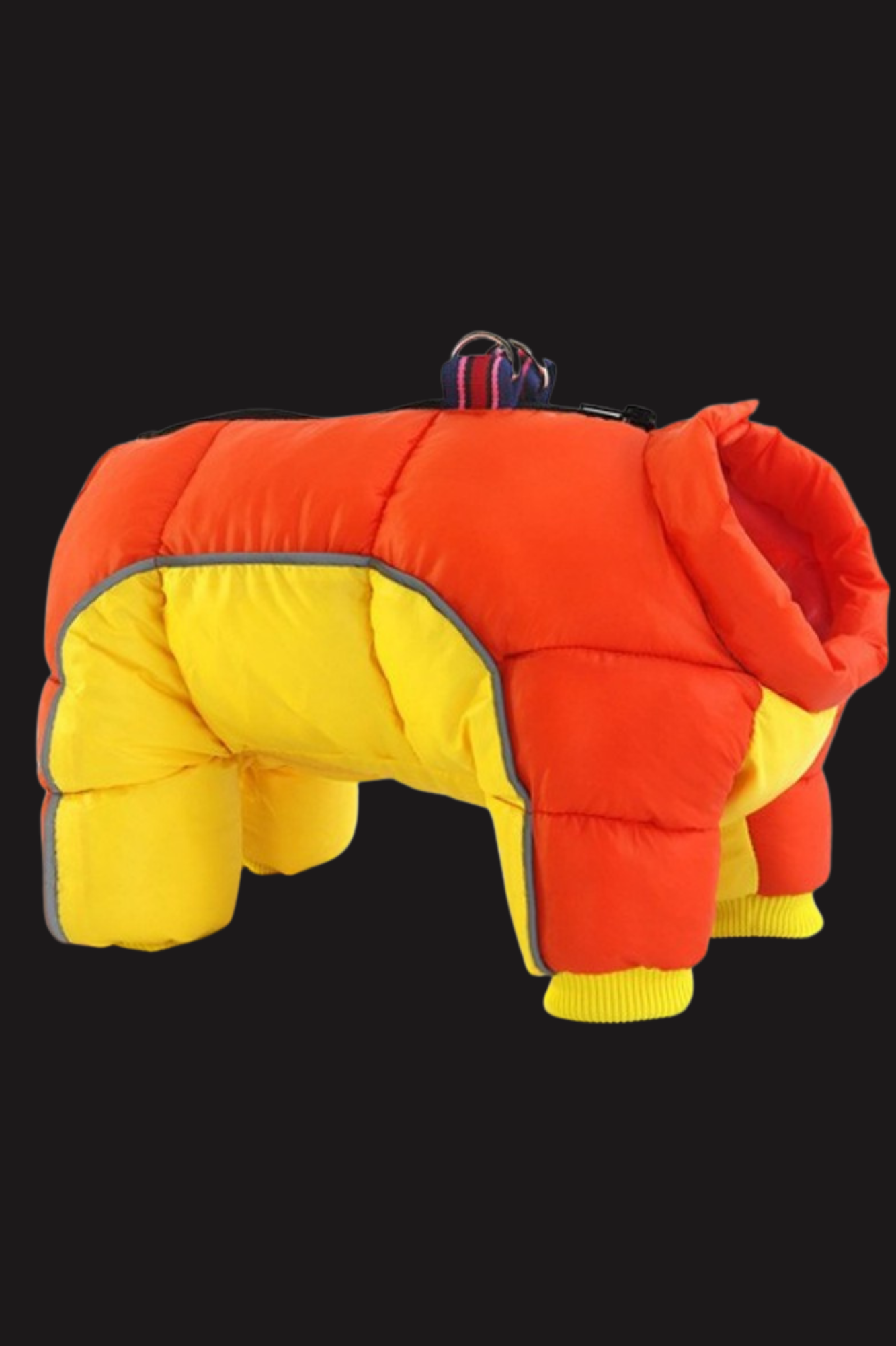 manteau pour chien orange jaune
