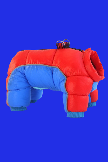 manteau pour chien rouge bleu