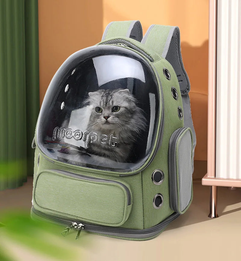 minou sac a dos chat