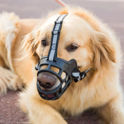 museliere pour chien