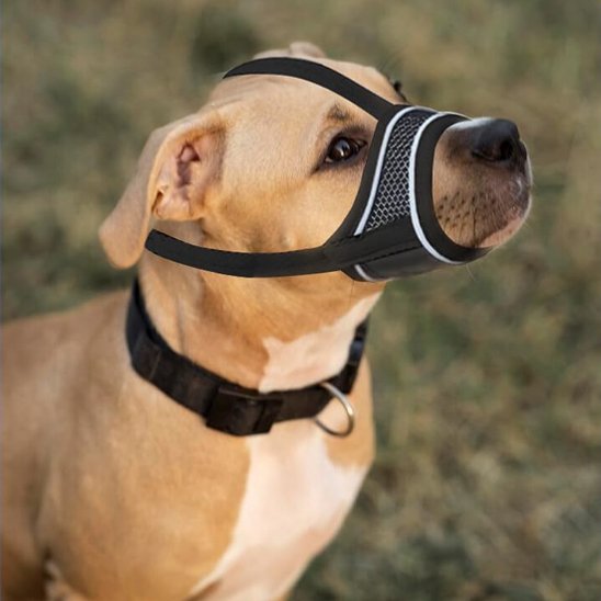 Muselière pour chien Confortable et Sécurisée