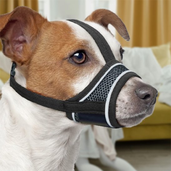 Muselière pour chien noir