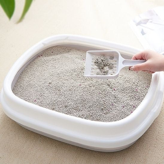 nettoyer bac a lititere chat