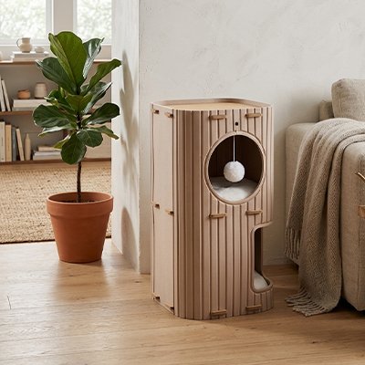 Niche pour  chat brun