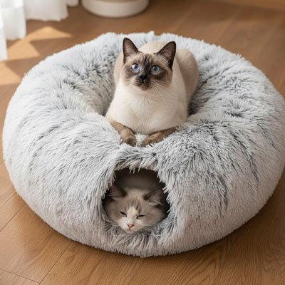 Niche pour chat elegante