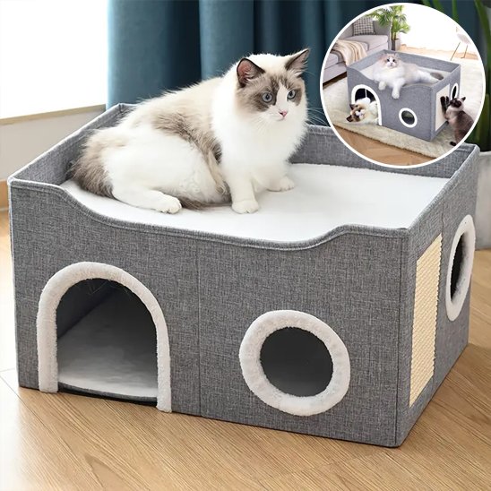 niche pour chat heureux 
