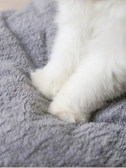 niche pour chat mouilleux