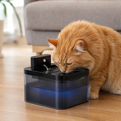 noir Filtration Continue Fontaine a eau Chat
