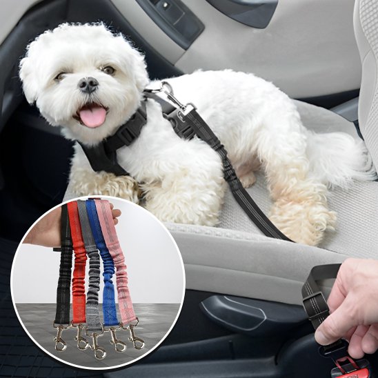 noir Ceinture chien voiture