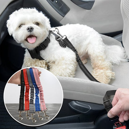 noir Ceinture chien voiture
