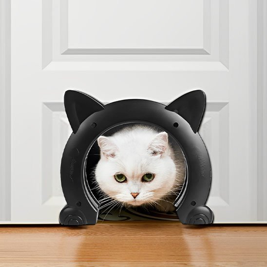 noir chatiere tete chat
