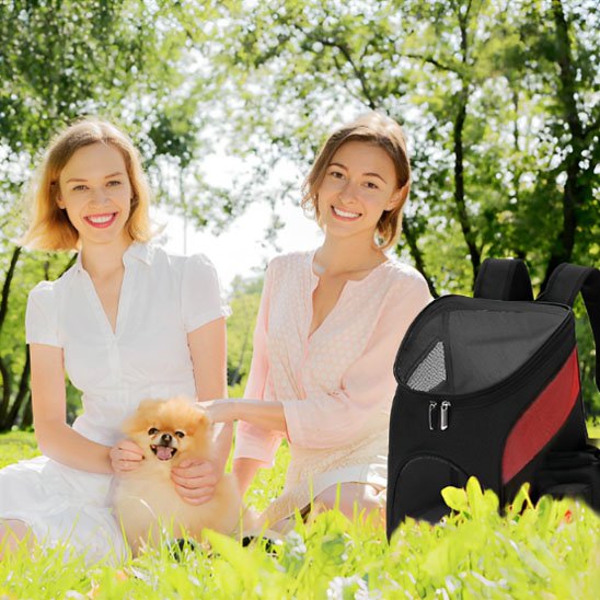 noir Sac à dos pour chien securite