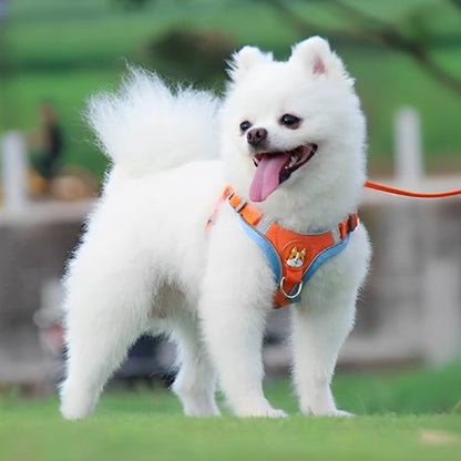 orange bleu Harnais pour chien