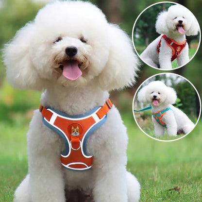 orange Harnais pour chien confort
