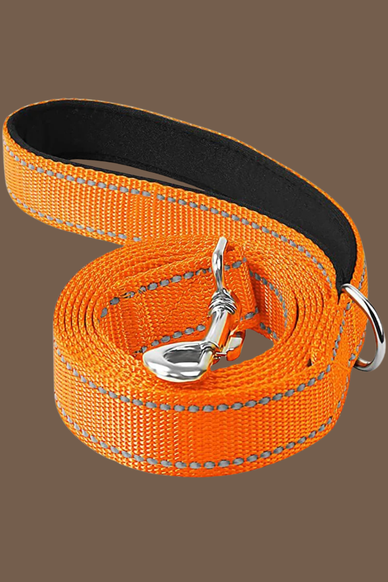 orange laisse pour chien