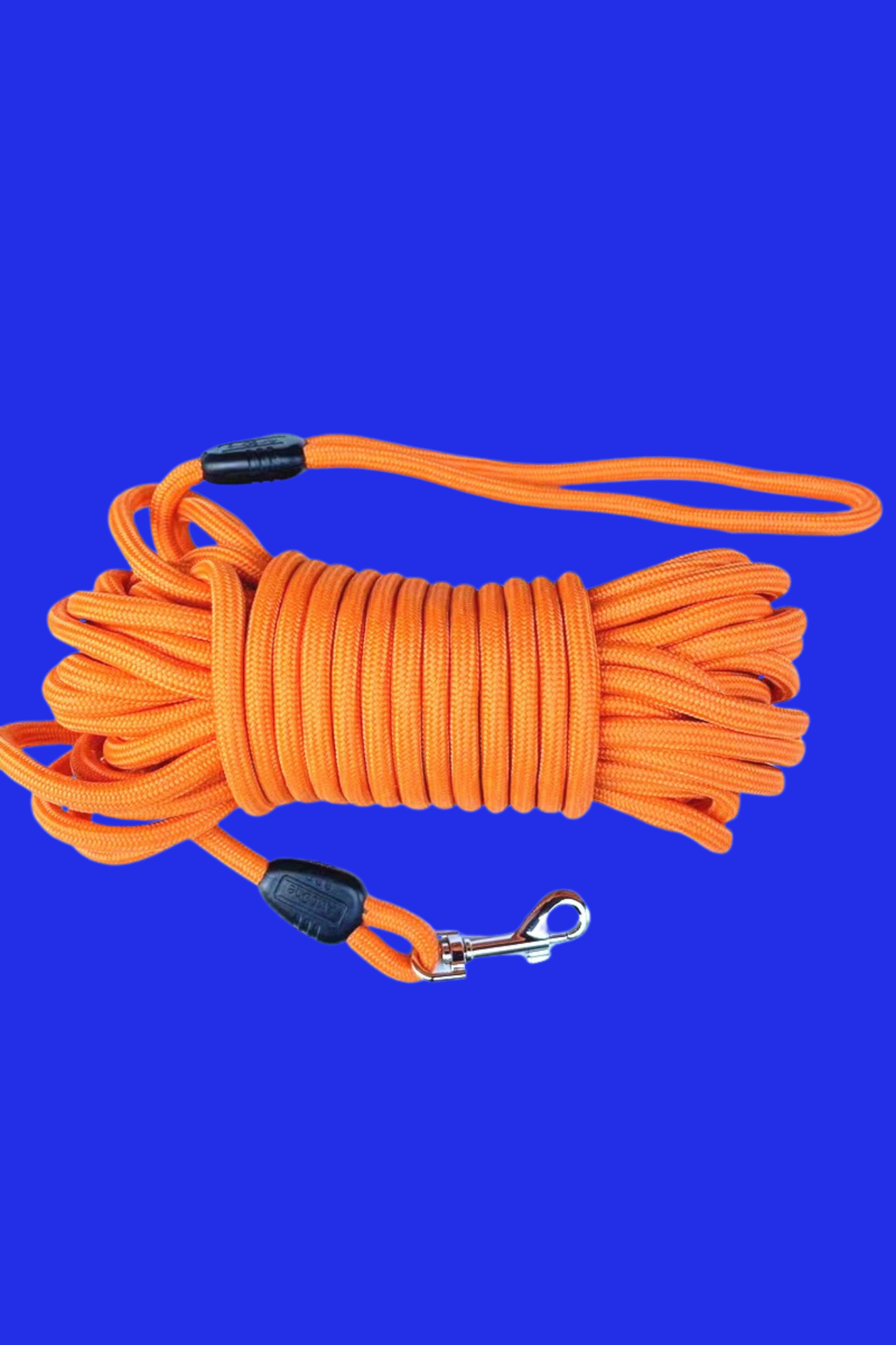 orange longe chien 